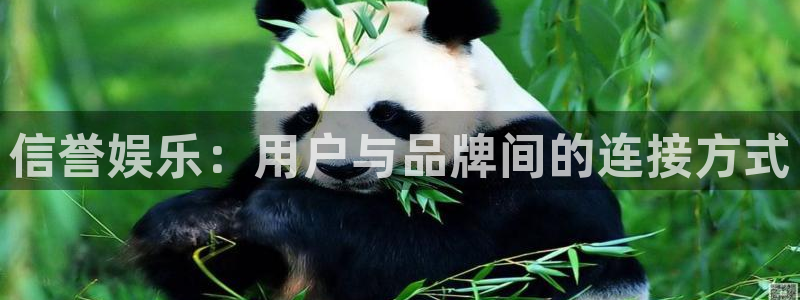万事娱乐：信誉娱乐：用户与品牌间的连接方式