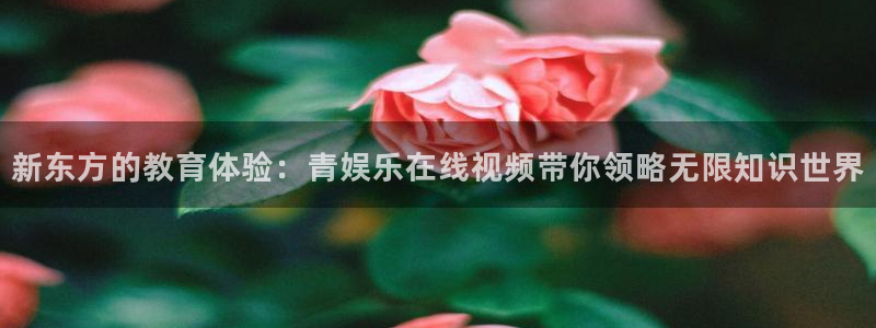 万事娱乐：新东方的教育体验：青娱乐在线视频带你领略无限知识世界