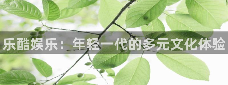 万事娱乐：乐酷娱乐：年轻一代的多元文化体验