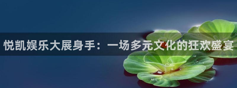 万事娱乐：悦凯娱乐大展身手：一场多元文化的狂欢盛宴