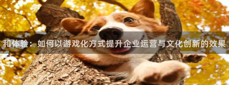 万事娱乐：和体验：如何以游戏化方式提升企业运营与文化创新的效果