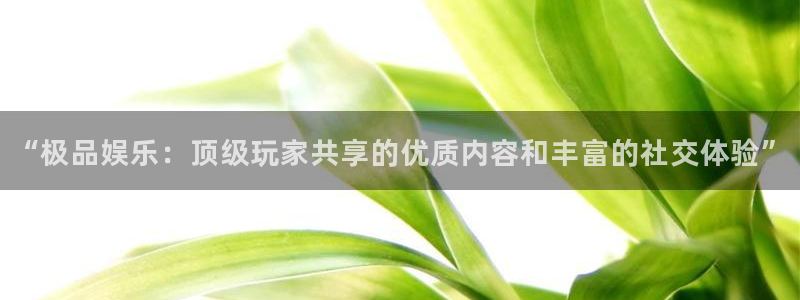万事娱乐登录地址：“极品娱乐：顶级玩家共享的优质内容和丰富的社交体验”